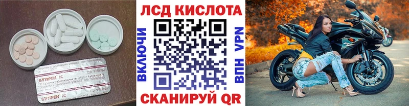 Купить закладки  Жуков  LSD-25 экстази кислота 